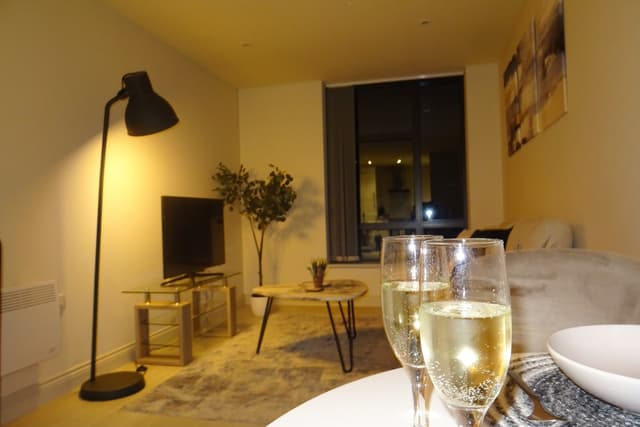 Modern Flat - Leeds City Centre  - View 4