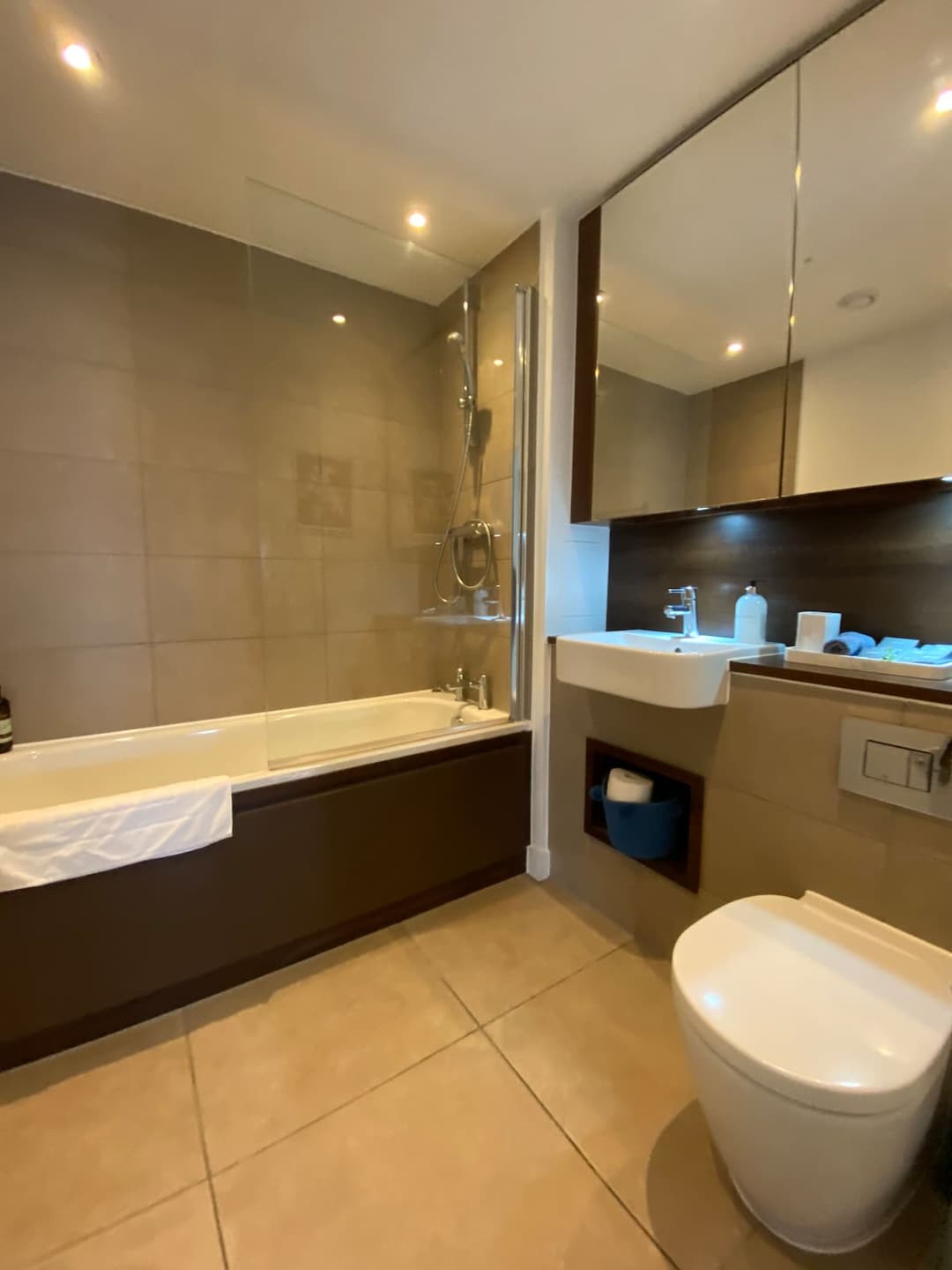 Skyline Views, Boutique Flat, West London - View 34