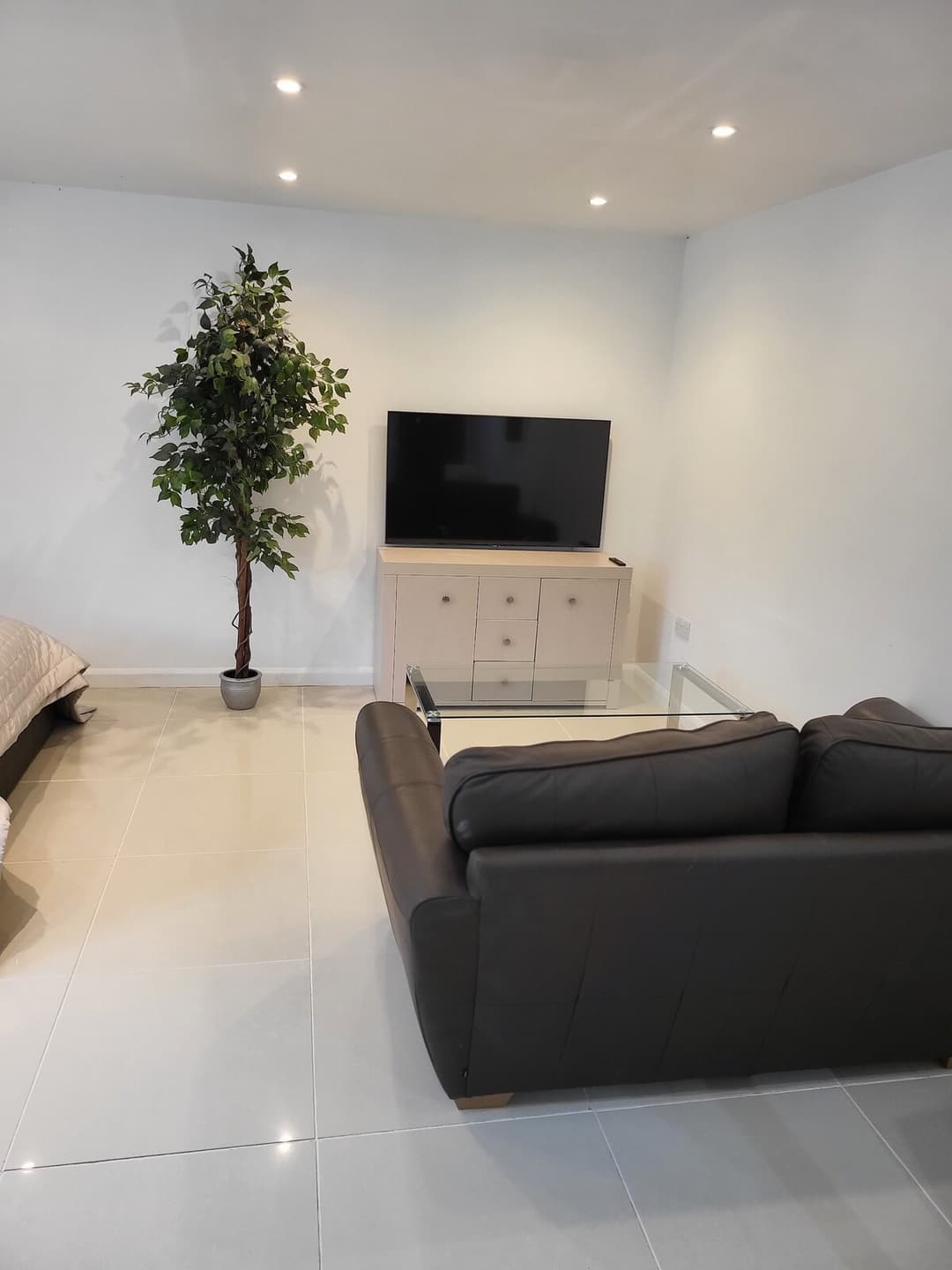 Beautiful One Bed Studio Flat (dog friendly) - View 9