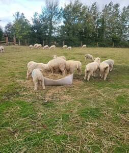 Beautiful Dog Friendly Cosy Village Barn - View 12