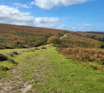 Sleeps 12, Stunning, Dog Friendly, Hot Tub, Rural - View 2