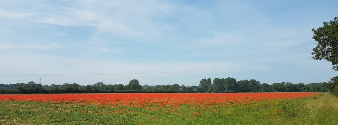 2 Bedroom Cottage, A Charming Home In Norfolk - View 9