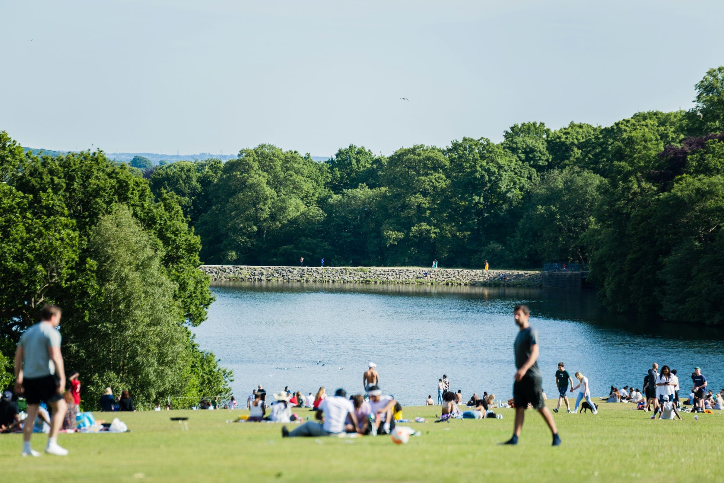 People relaxing on the grass by the lake in Roundhay Park, Leeds, on a sunny day