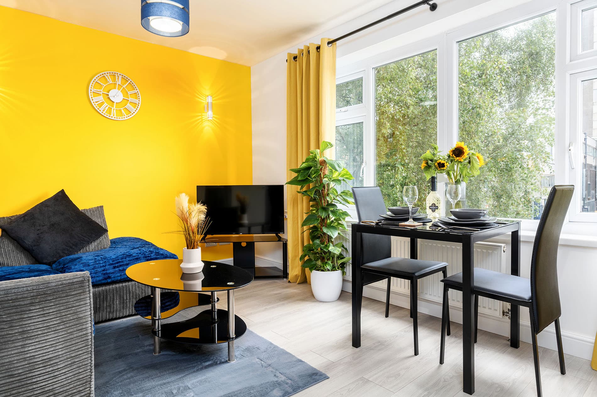 1 Bedroom Apartment