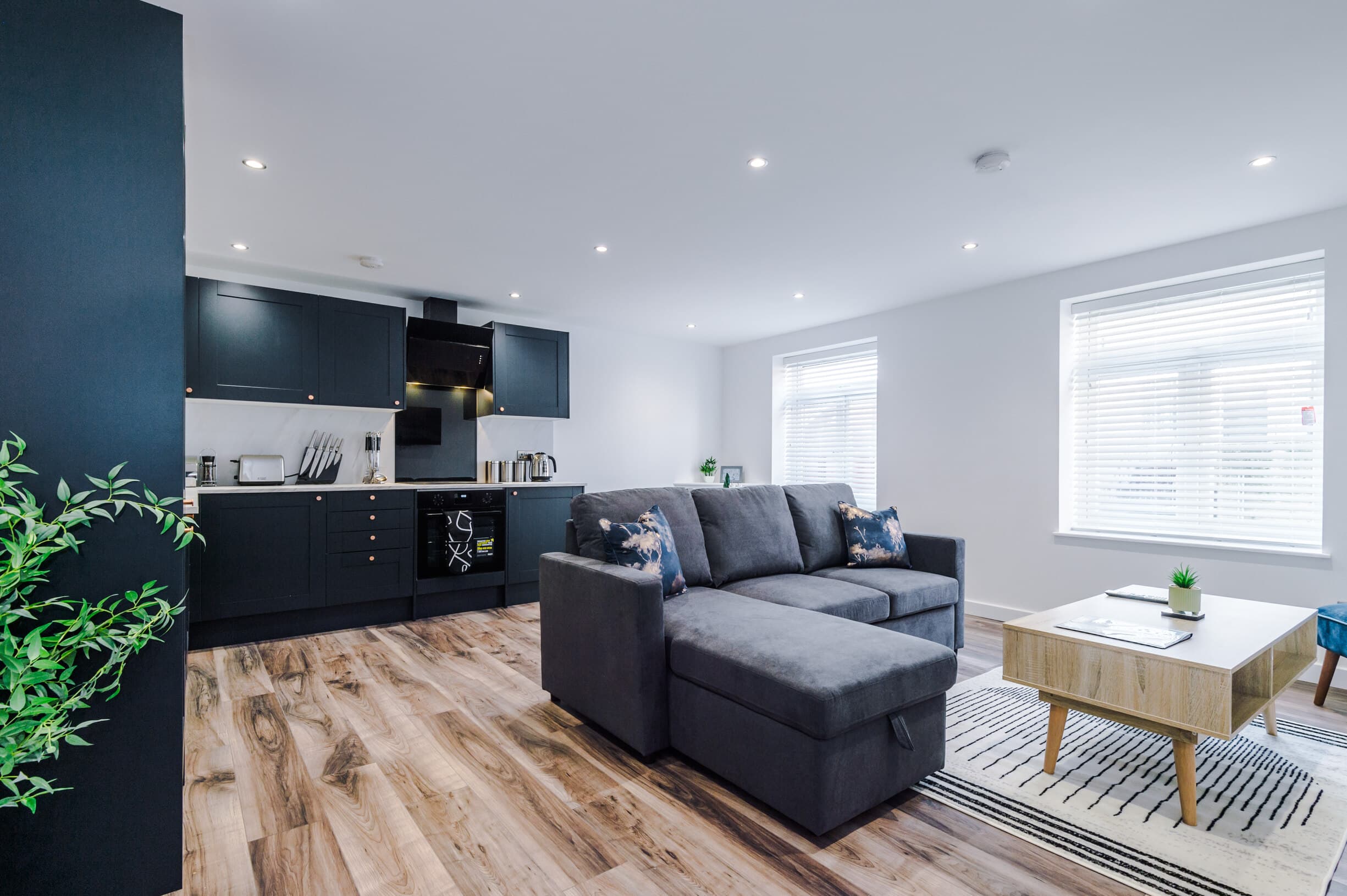 1 Bedroom Apartment